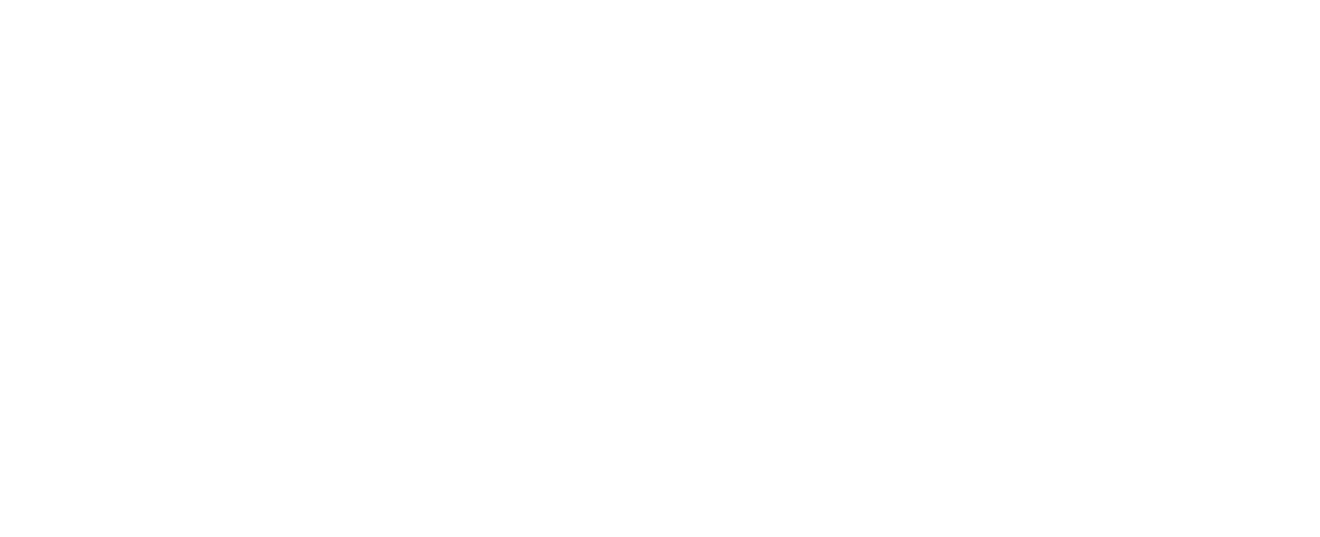 Leckle logo valkoinen