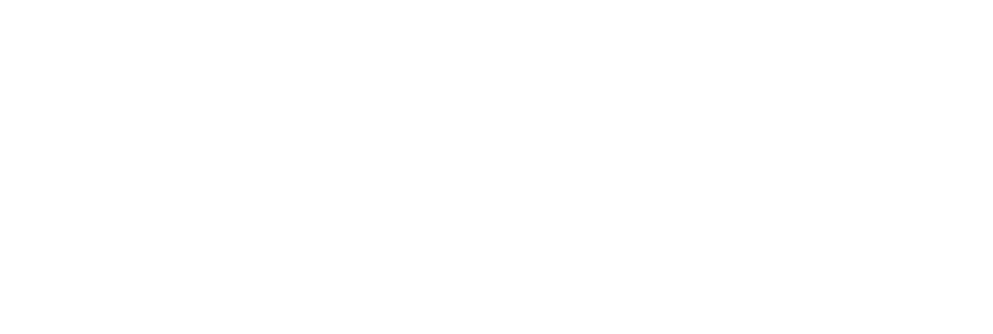 NYQS logo valkoinen